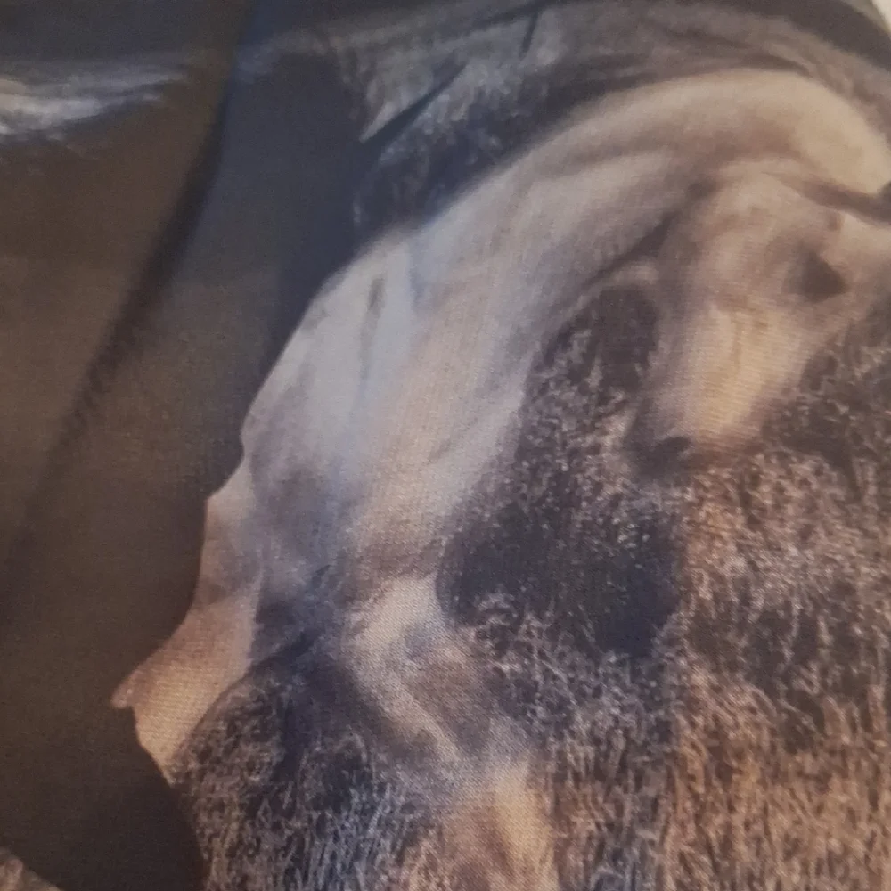 Elegant Tan and Black Scarf With Horses. 59